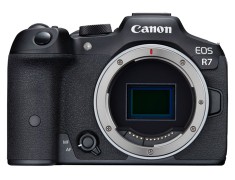 Canon EOS R7 Body〔單機身〕公司貨 登錄送原電 5/31止