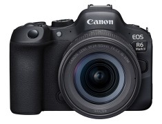 Canon EOS R6 Mark II Kit組〔含RF 24-105mm STM〕公司貨 登錄送禮券  5/31止