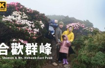 《Blog》親子登山【合歡群峰】高山杜鵑花季攀登合歡群峰！(有影片)