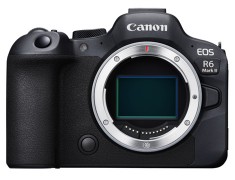 Canon EOS R6 Mark II Body〔單機身〕平行輸入