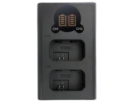 Rowa NP-FW50 副廠雙槽電池充電器